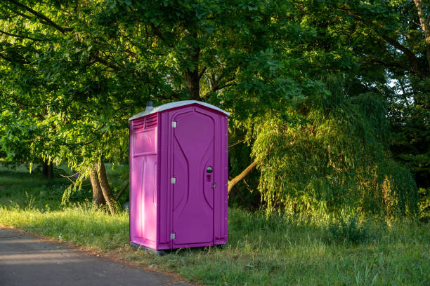 Portable Toilet Options We Offer in Lake Shore, UT